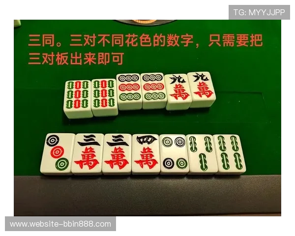 全面解析麻将书籍电子版内容，帮助玩家系统学习麻将策略与技巧